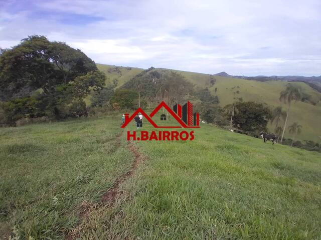 Sítio para Venda em Guaratinguetá - 5