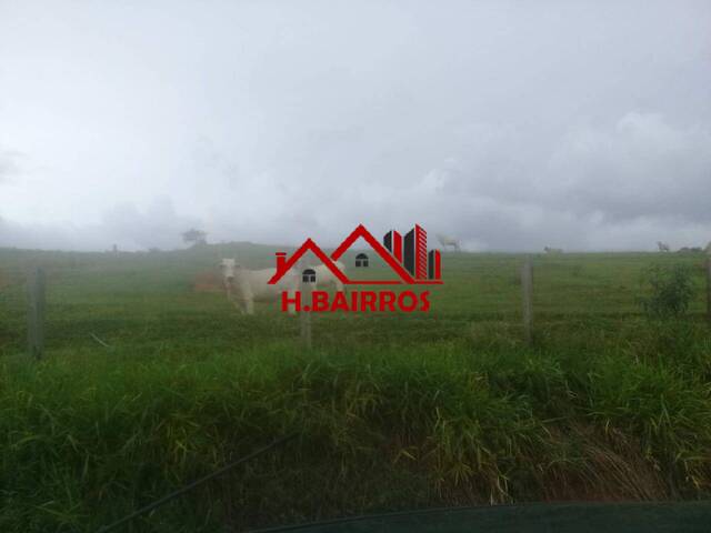 Fazenda para Venda em Lorena - 5
