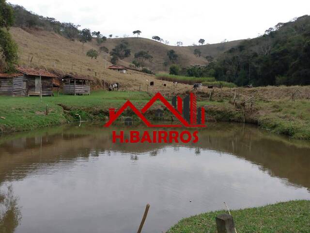 #1829 - Fazenda para Venda em Lorena - SP - 3