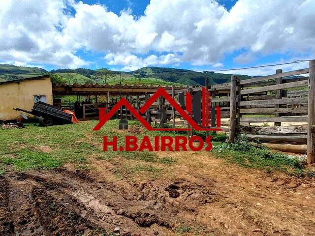 Fazenda para Venda em Lorena - 5