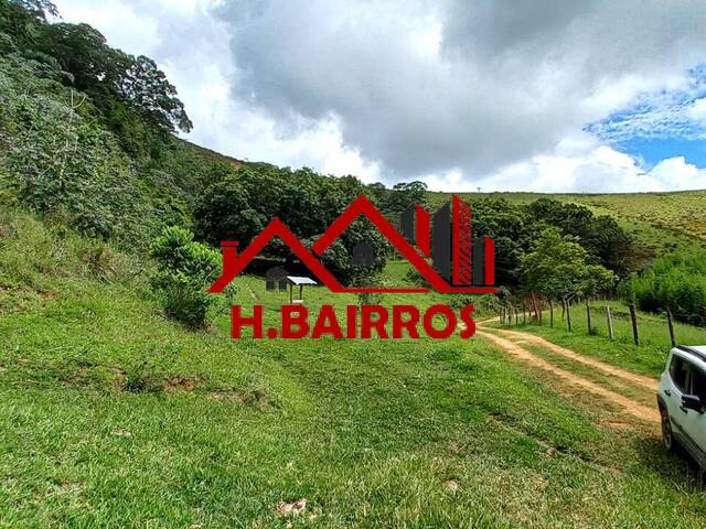 Fazenda para Venda em Lorena - 4