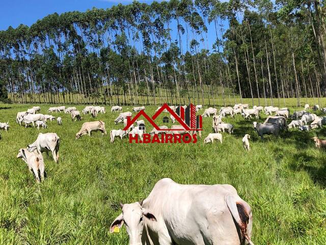 Fazenda para Venda em Guaratinguetá - 4