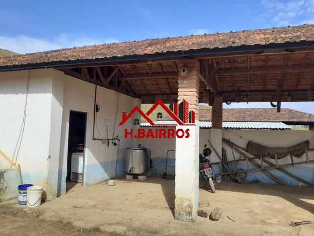 Fazenda para Venda em Silveiras - 4